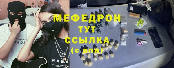 spice Богородск