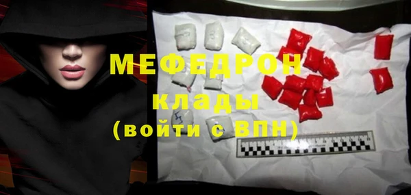spice Богородск