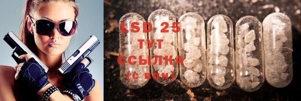 spice Богородск