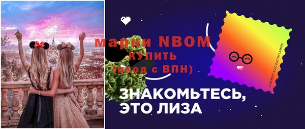 spice Богородск