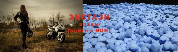 spice Богородск